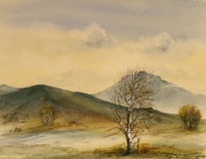 Somewhere in Connemara