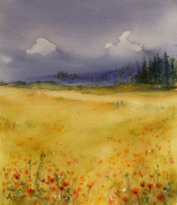 On The Trail Of Beauty